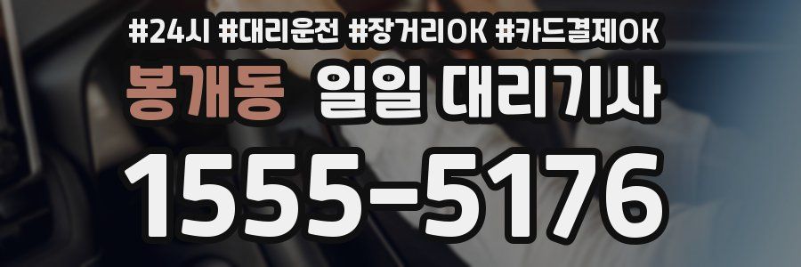 봉개동 일일 대리기사