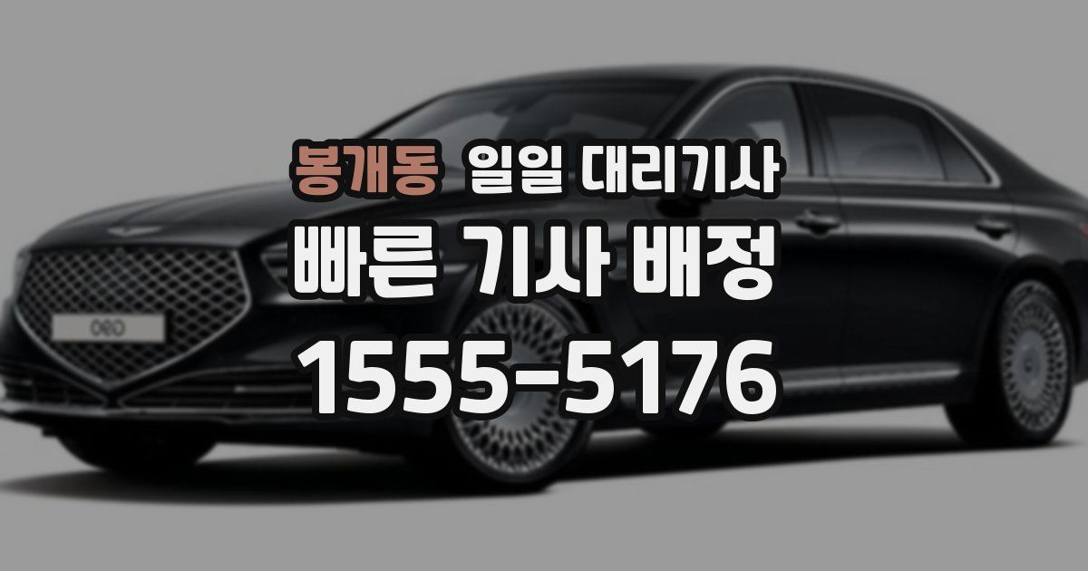 봉개동 일일 대리기사