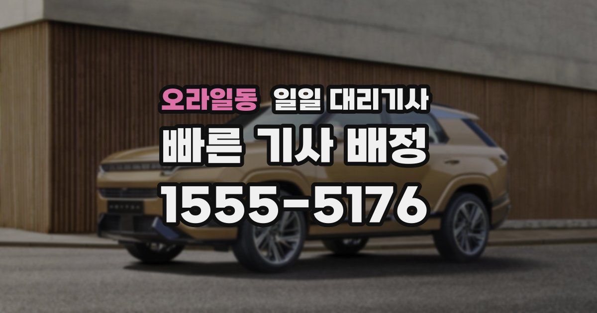 오라일동 일일 대리기사
