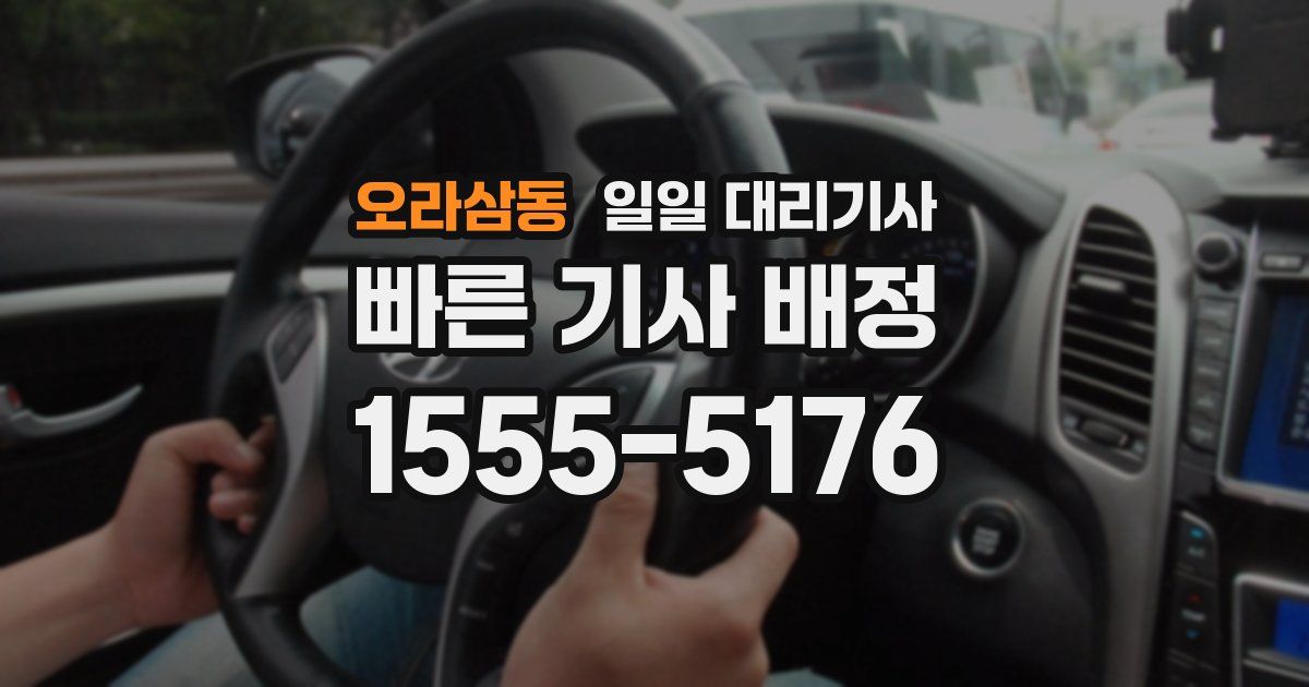오라삼동 일일 대리기사