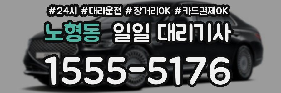 노형동 일일 대리기사