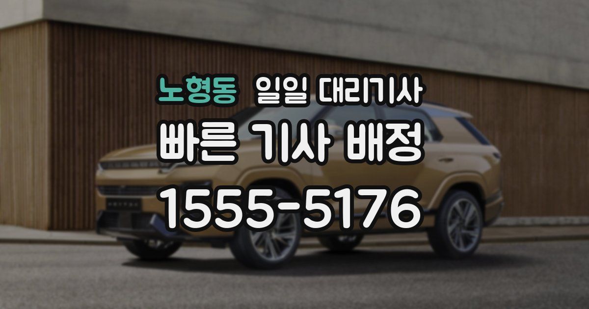 노형동 일일 대리기사