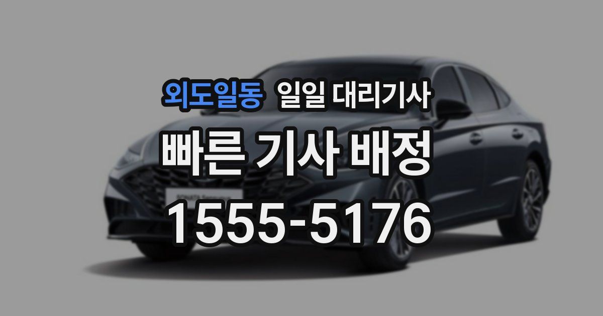 외도일동 일일 대리기사