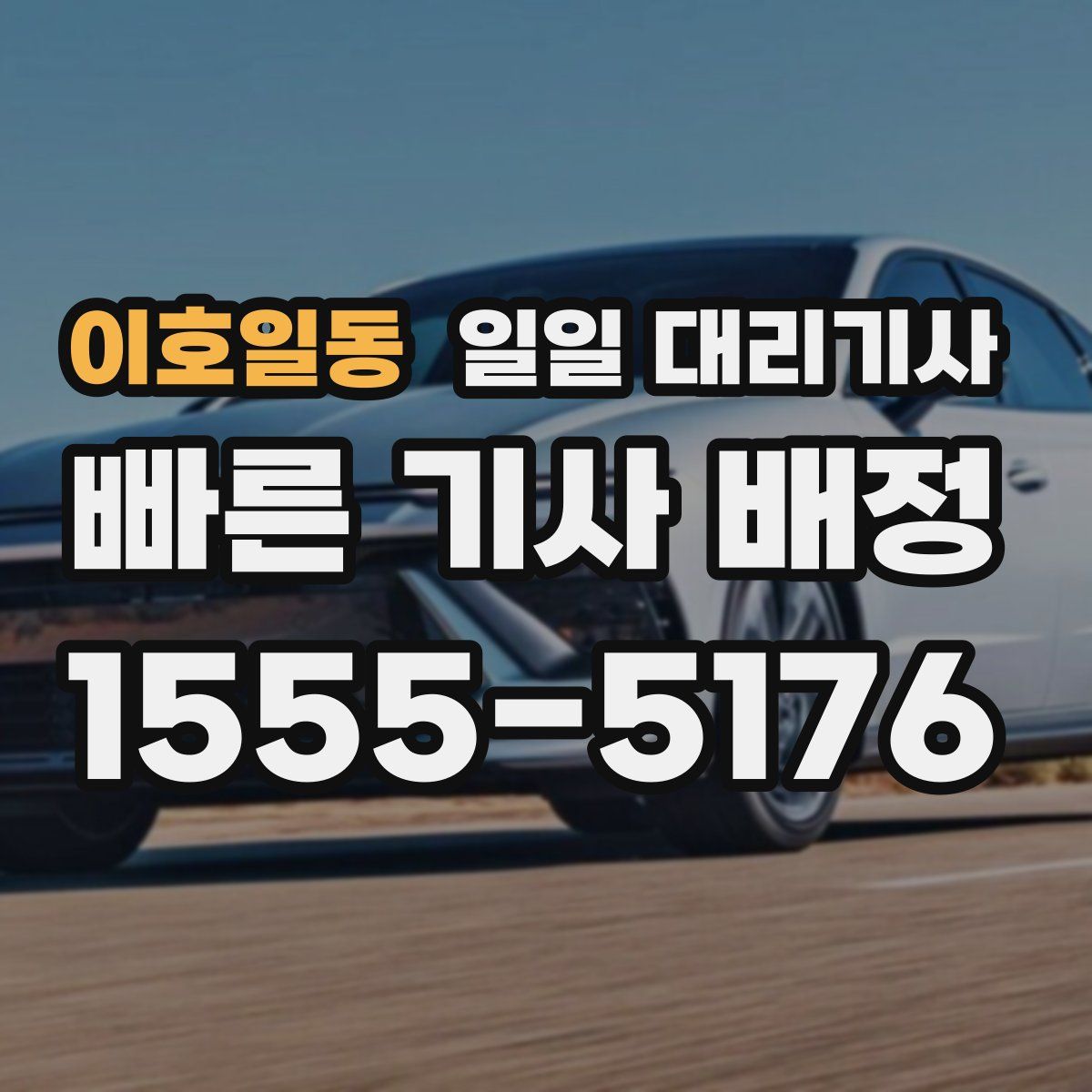 이호일동 일일 대리기사