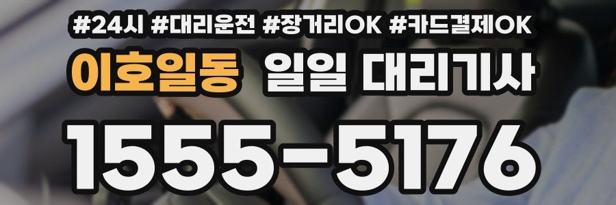 이호일동 일일 대리기사