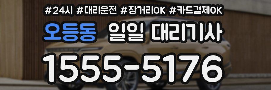 오등동 일일 대리기사