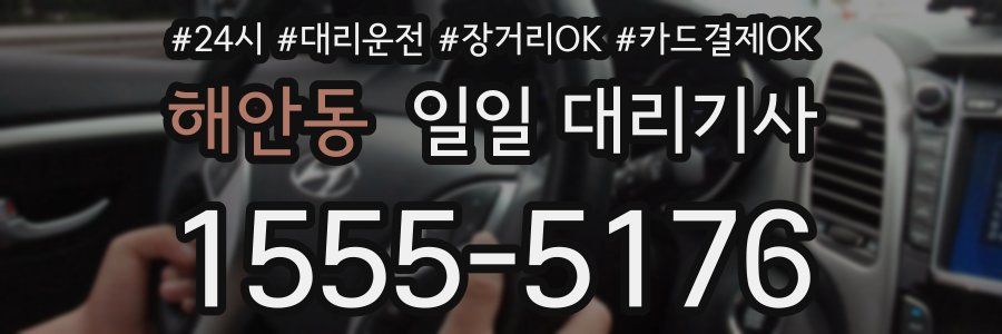 해안동 일일 대리기사