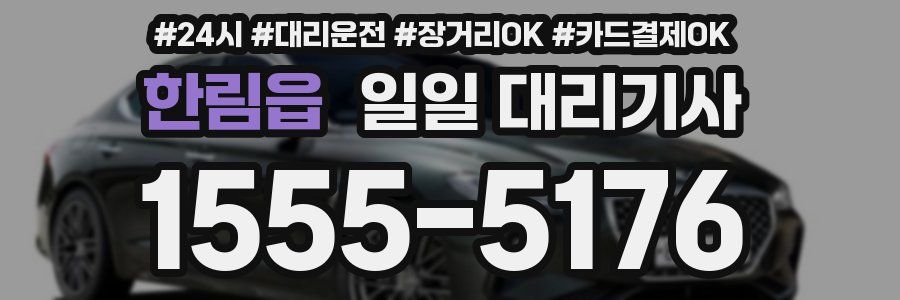 한림읍 일일 대리기사