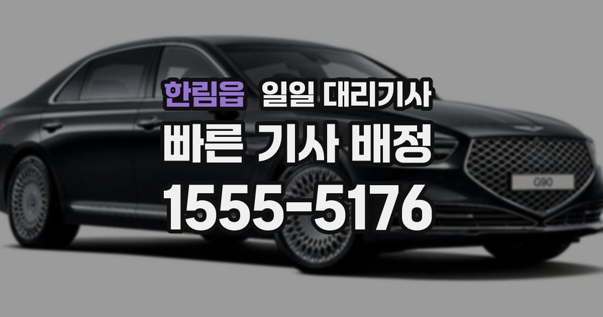 한림읍 일일 대리기사