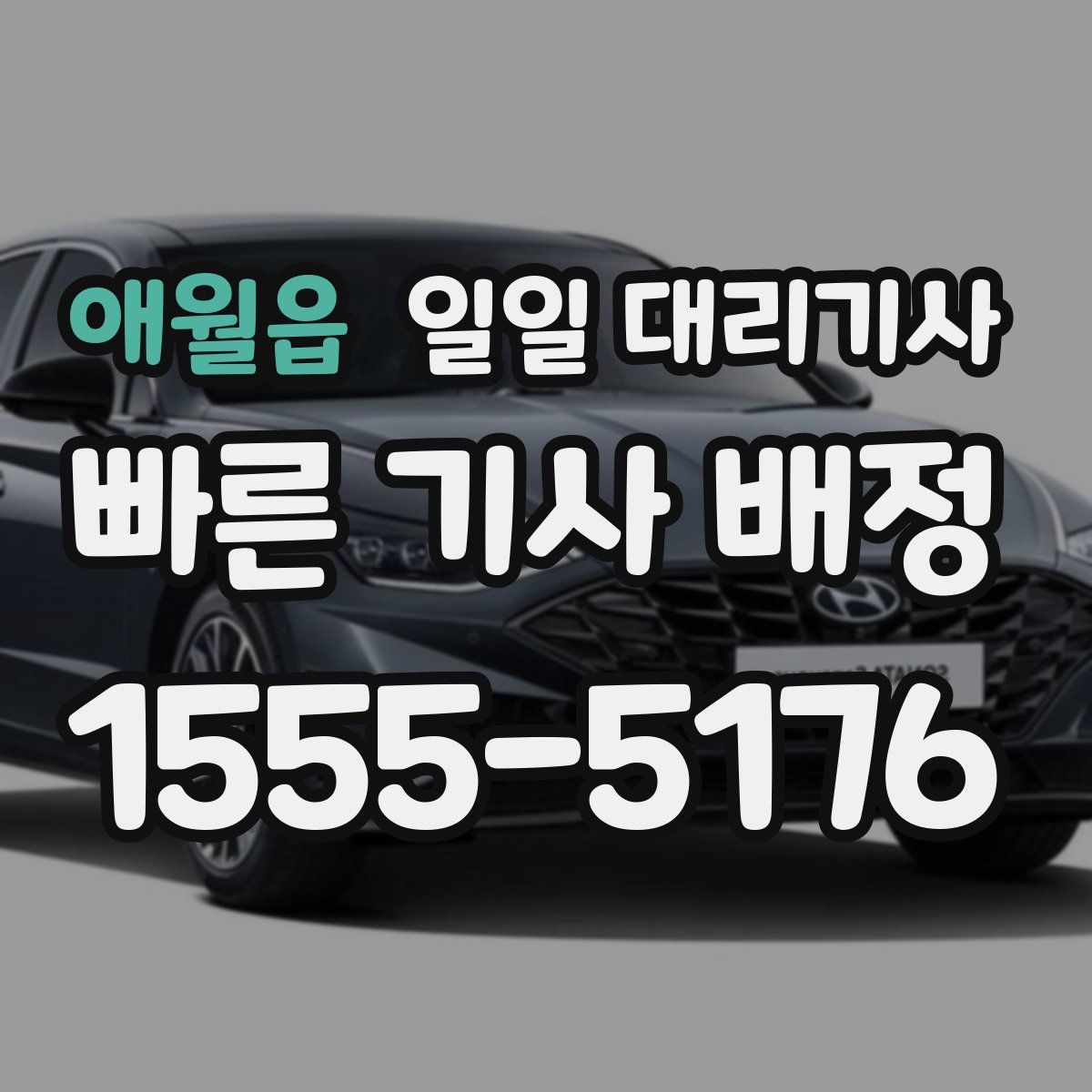애월읍 일일 대리기사