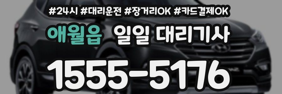 애월읍 일일 대리기사
