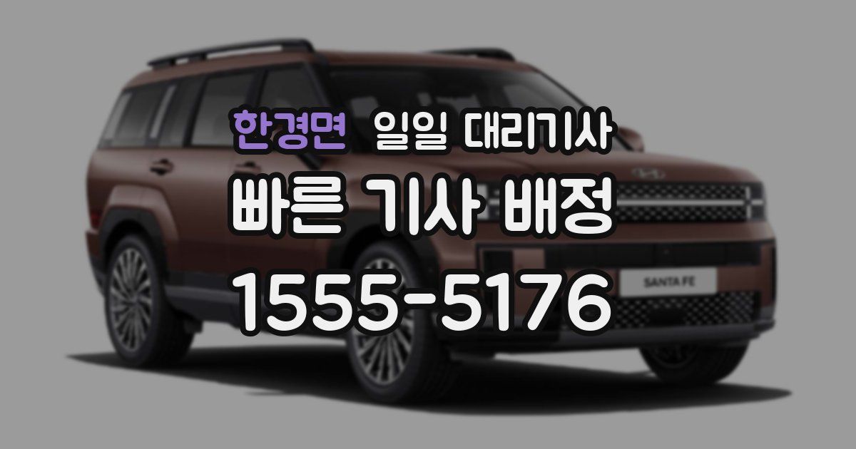 한경면 일일 대리기사