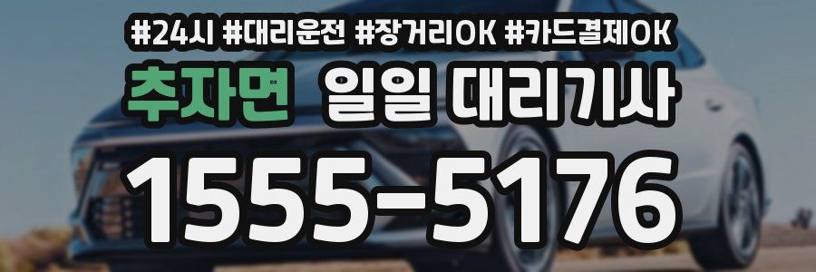 추자면 일일 대리기사
