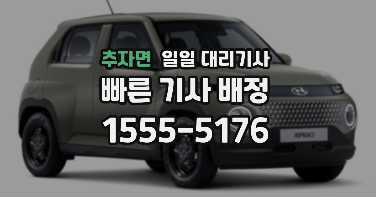 추자면 일일 대리기사