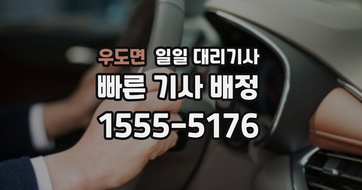 우도면 일일 대리기사