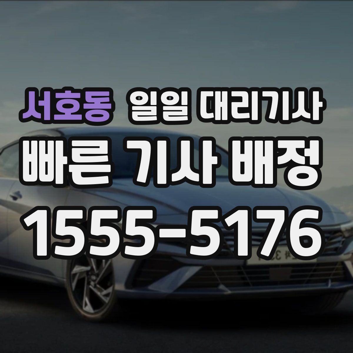 서호동 일일 대리기사