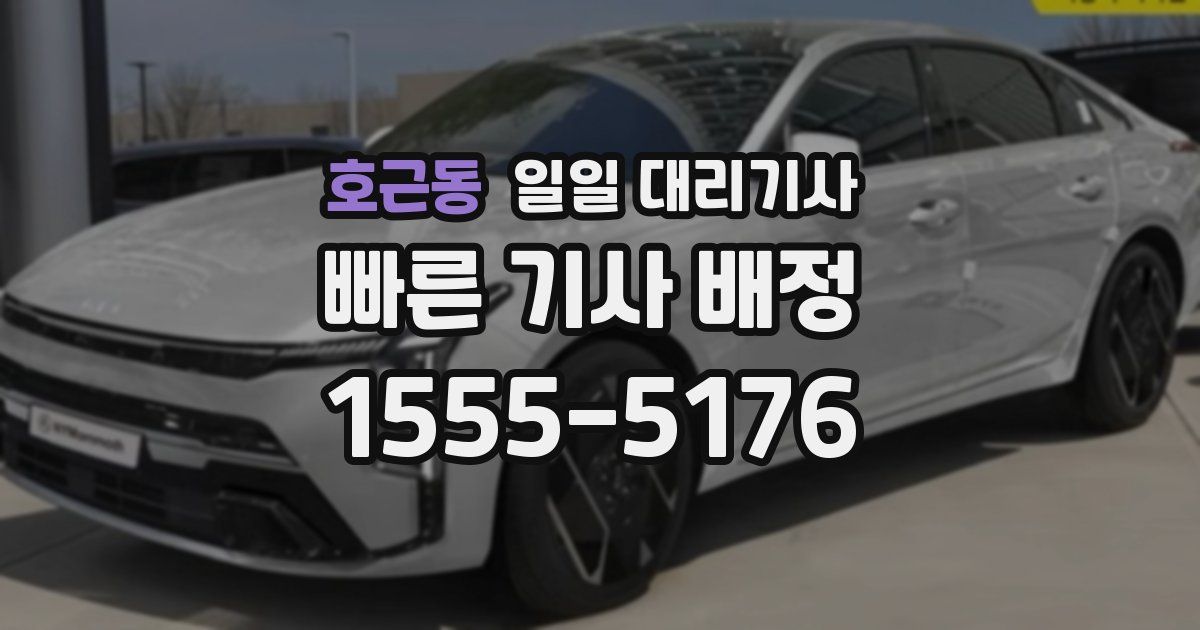 호근동 일일 대리기사