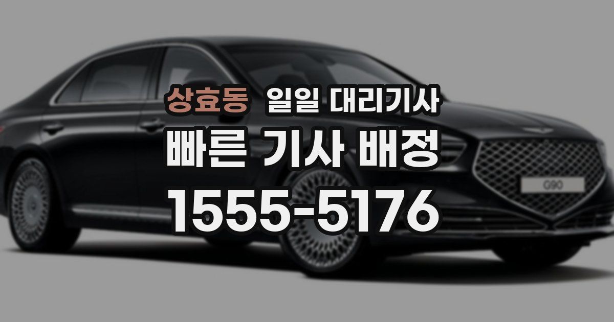 상효동 일일 대리기사