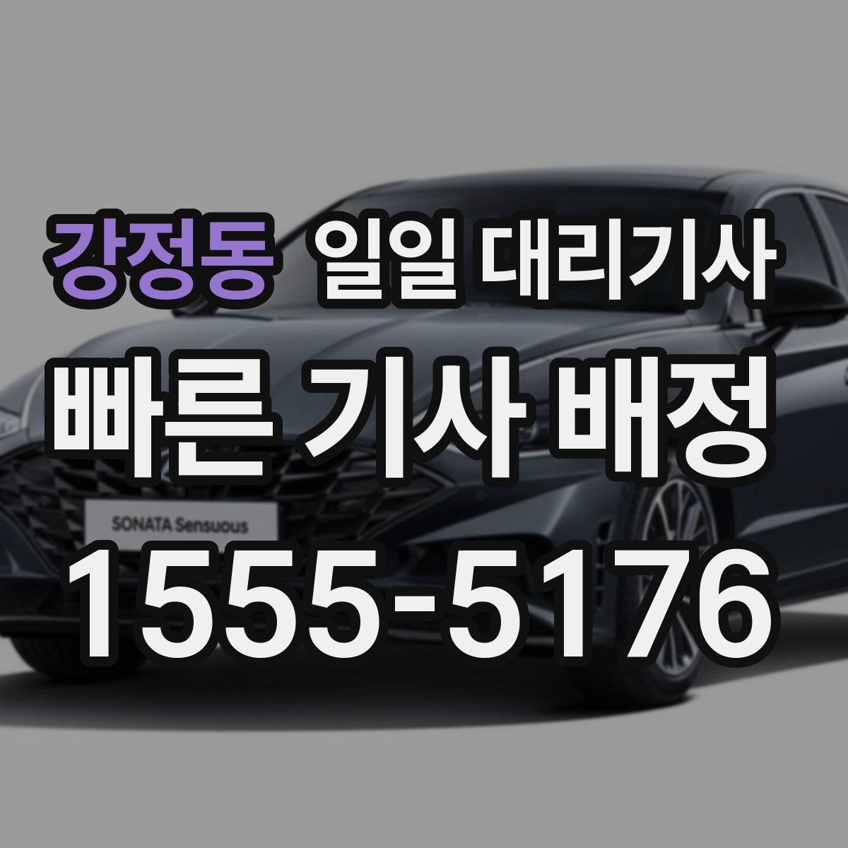 강정동 일일 대리기사