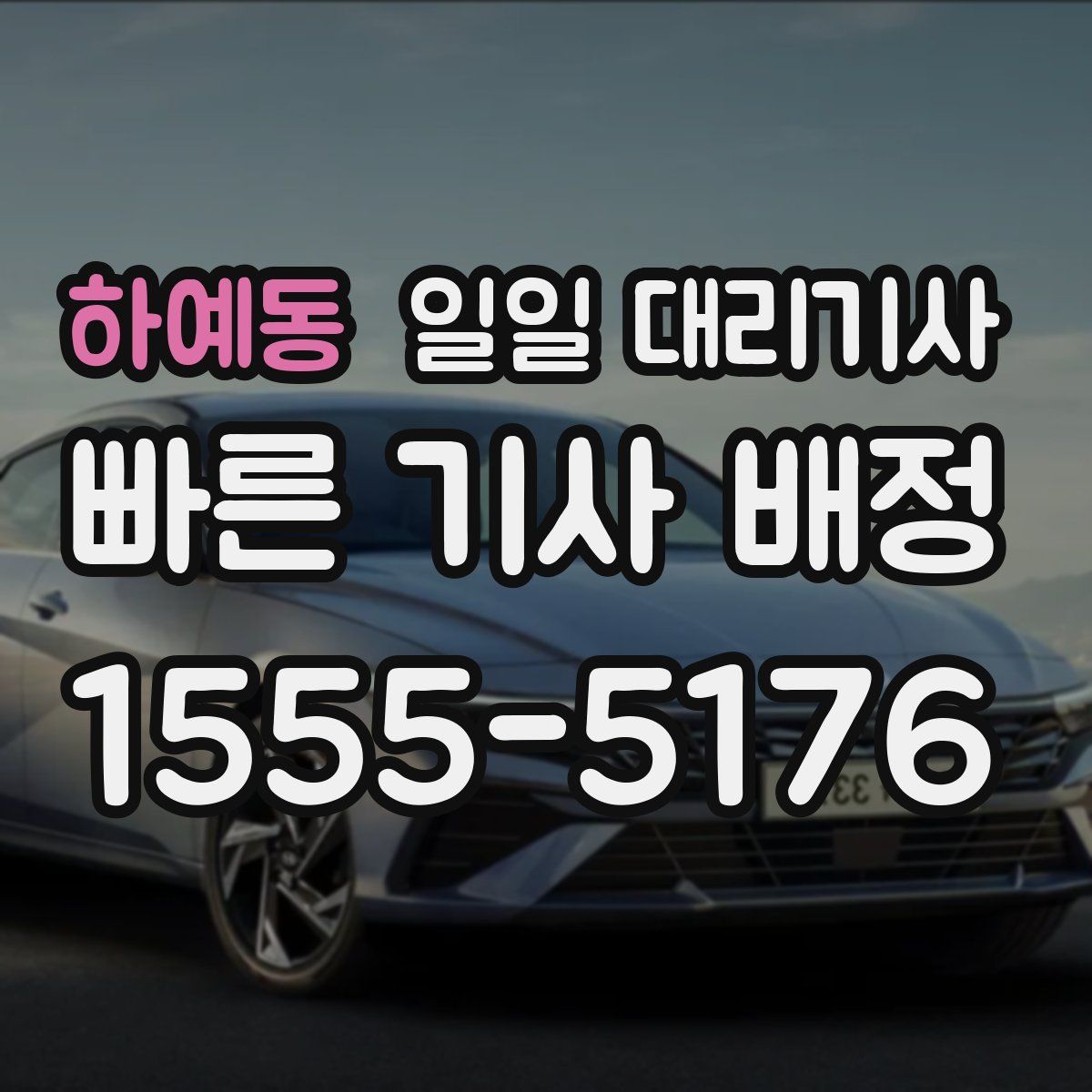하예동 일일 대리기사