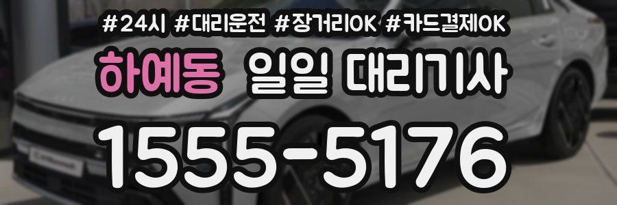 하예동 일일 대리기사