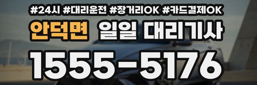 안덕면 일일 대리기사