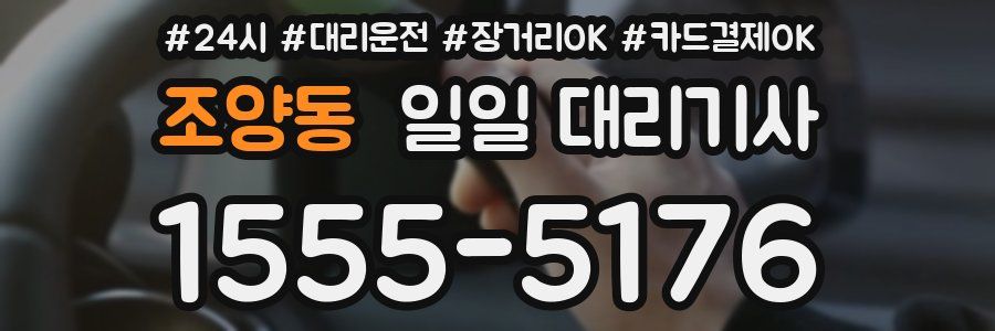 조양동 일일 대리기사