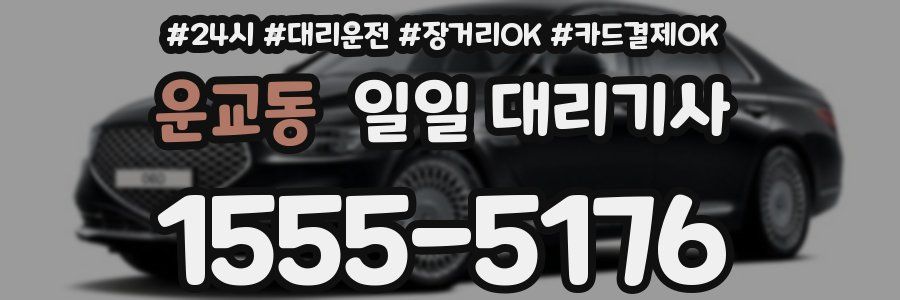 운교동 일일 대리기사