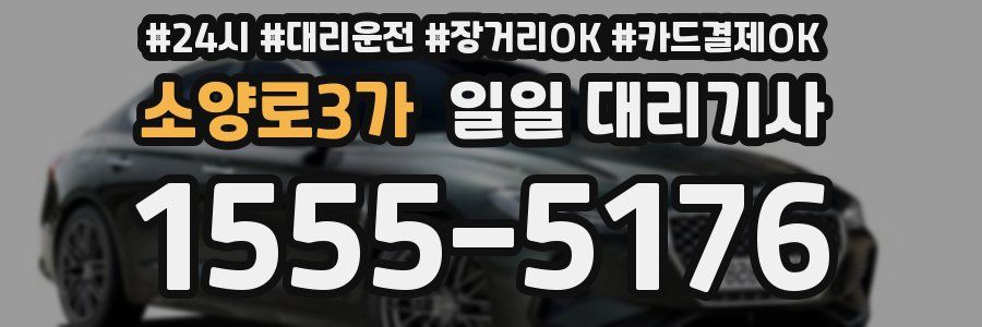 소양로3가 일일 대리기사