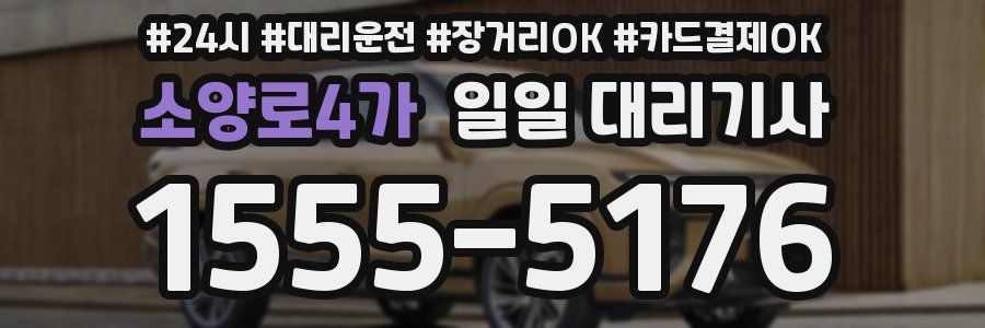 소양로4가 일일 대리기사