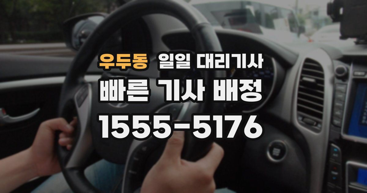 우두동 일일 대리기사