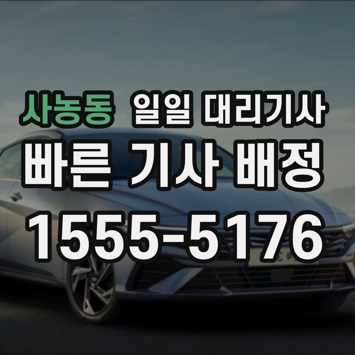 사농동 일일 대리기사