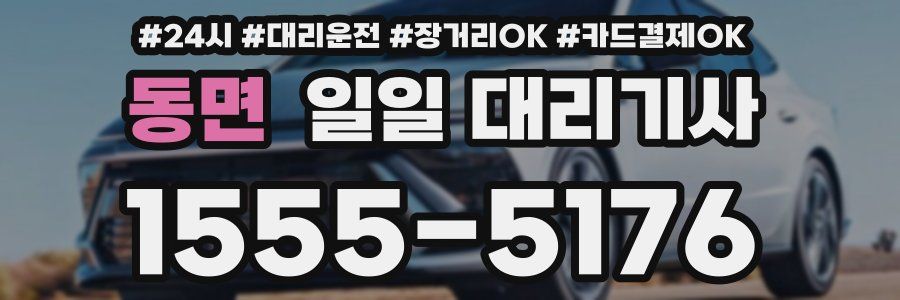 동면 일일 대리기사