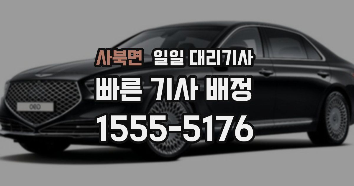 사북면 일일 대리기사