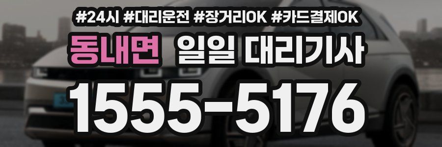 동내면 일일 대리기사