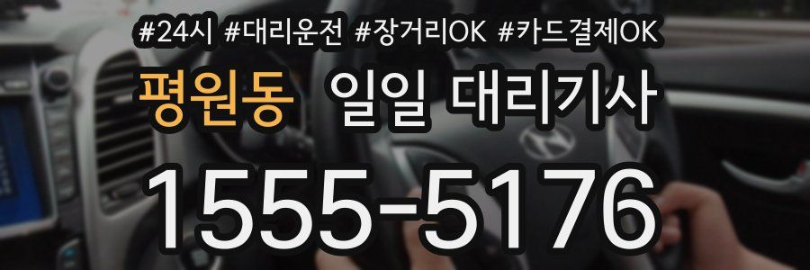 평원동 일일 대리기사