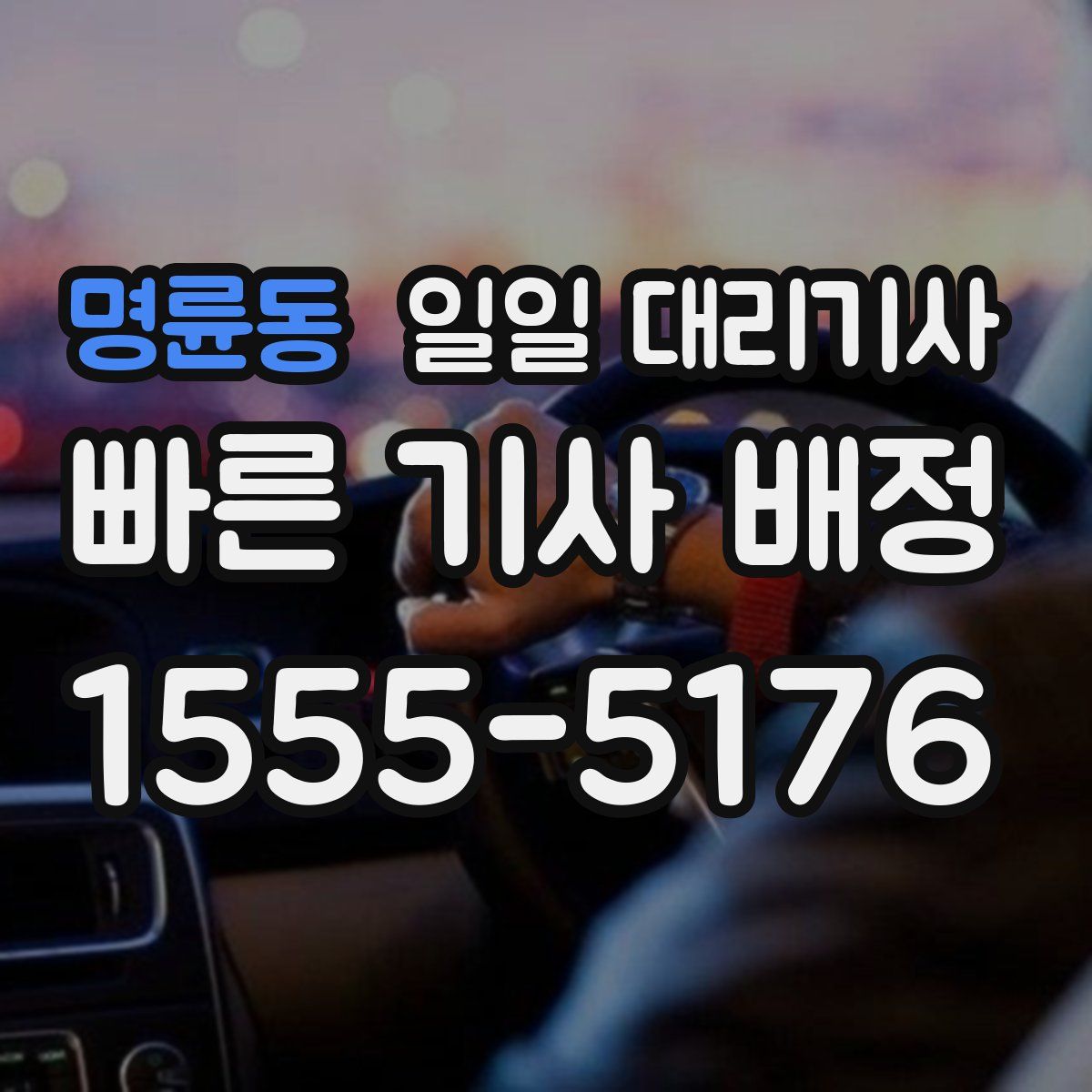 명륜동 일일 대리기사