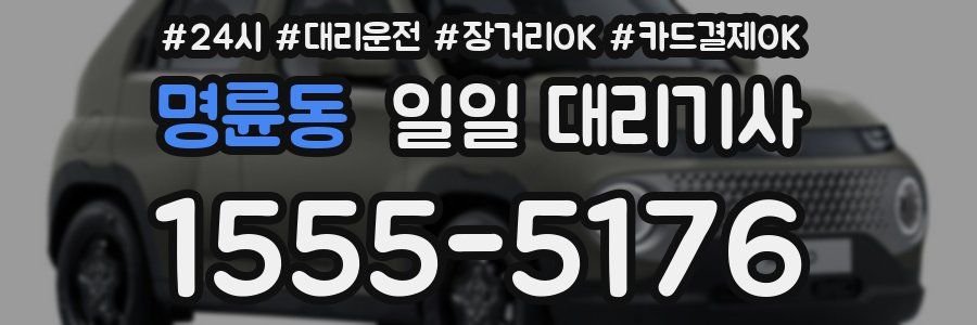 명륜동 일일 대리기사