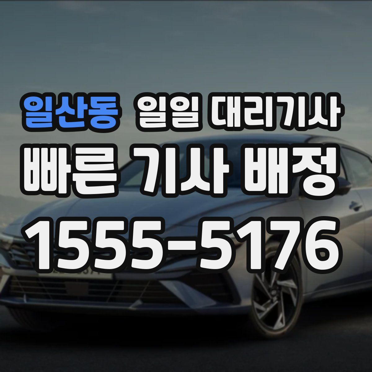 일산동 일일 대리기사