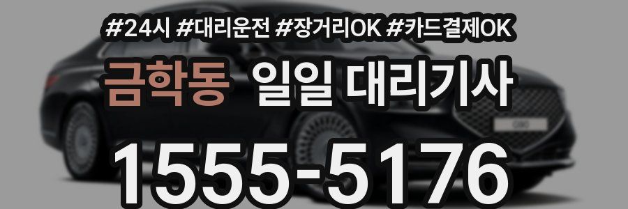 금학동 일일 대리기사