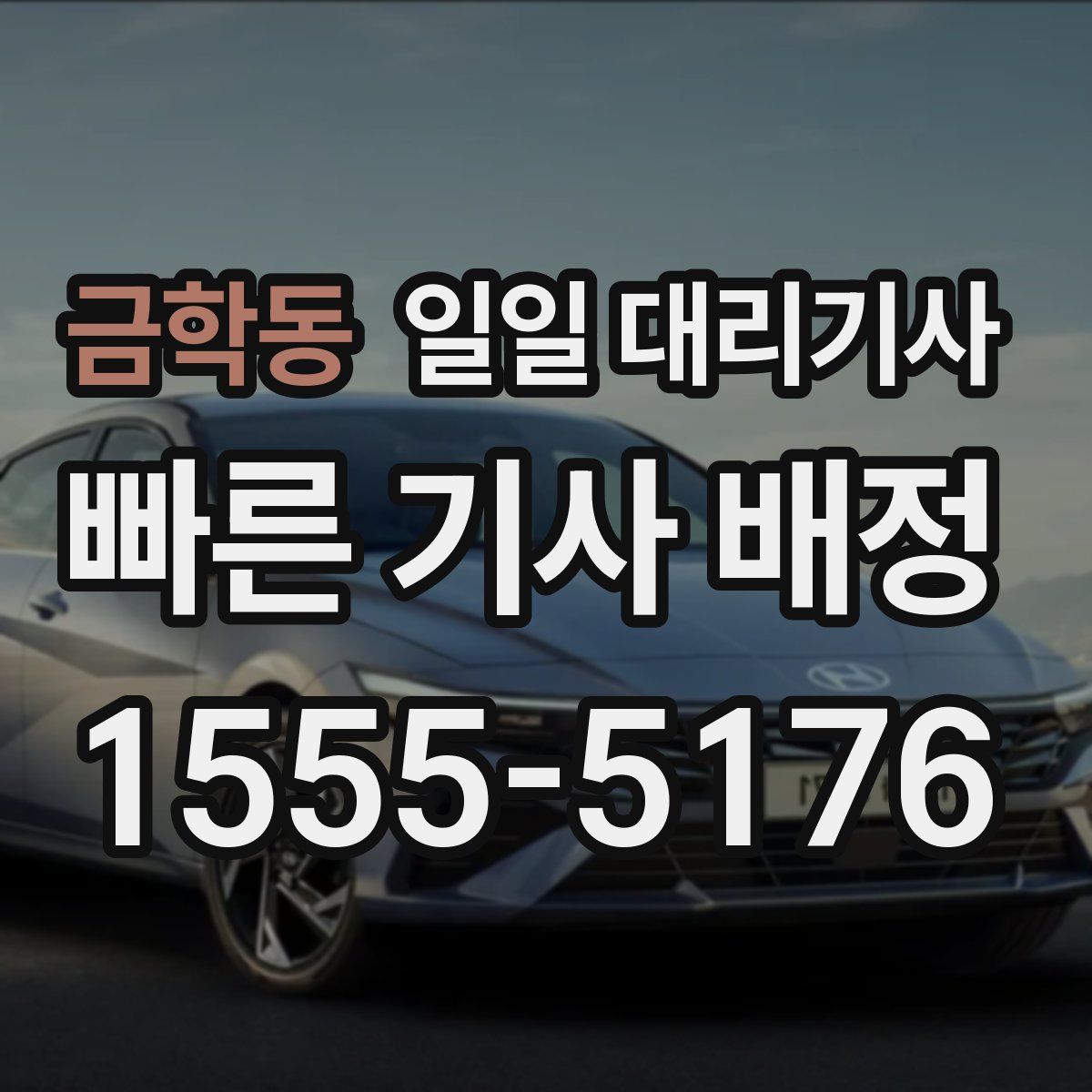 금학동 일일 대리기사