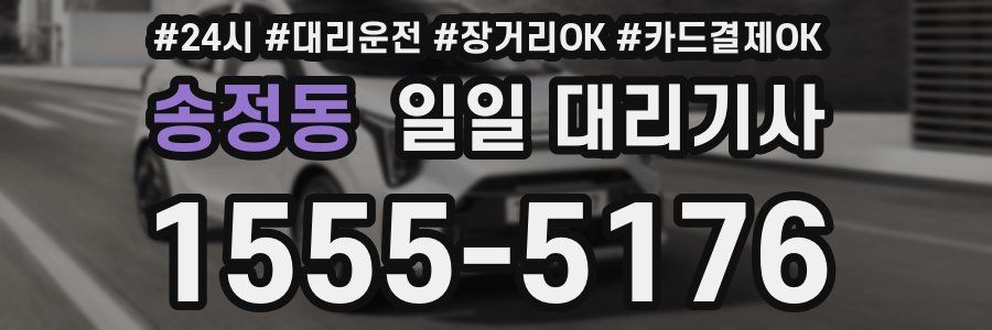 송정동 일일 대리기사