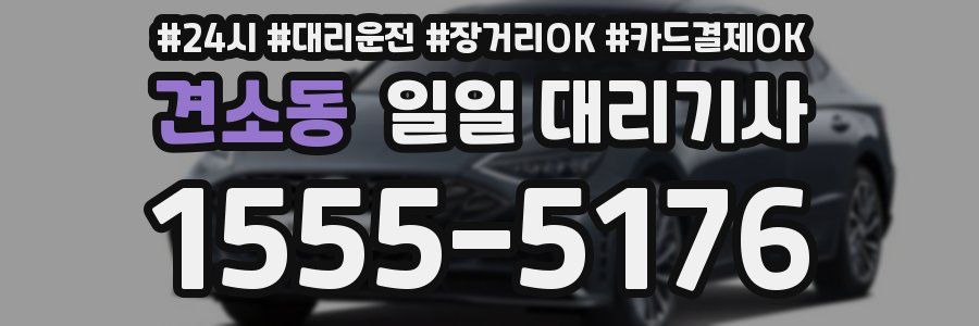 견소동 일일 대리기사