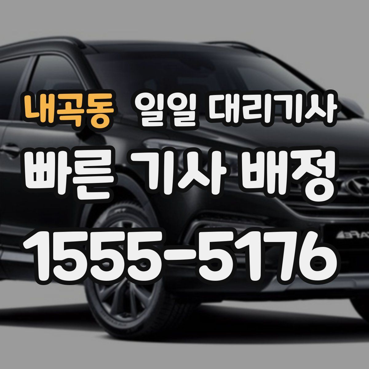내곡동 일일 대리기사