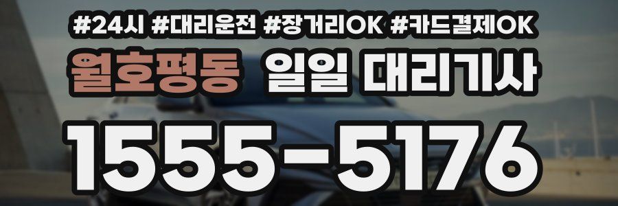 월호평동 일일 대리기사