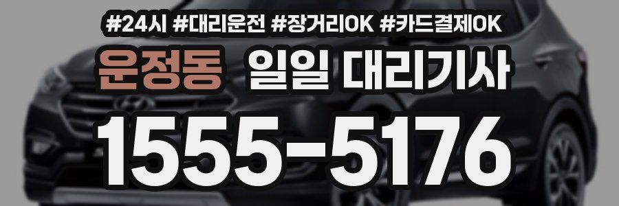 운정동 일일 대리기사