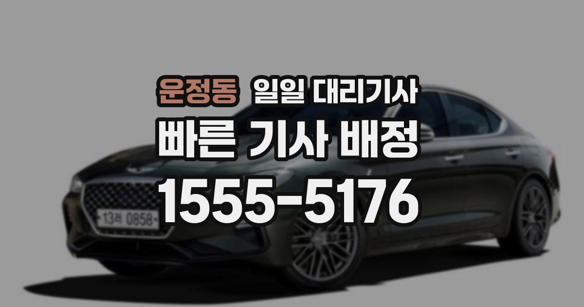 운정동 일일 대리기사