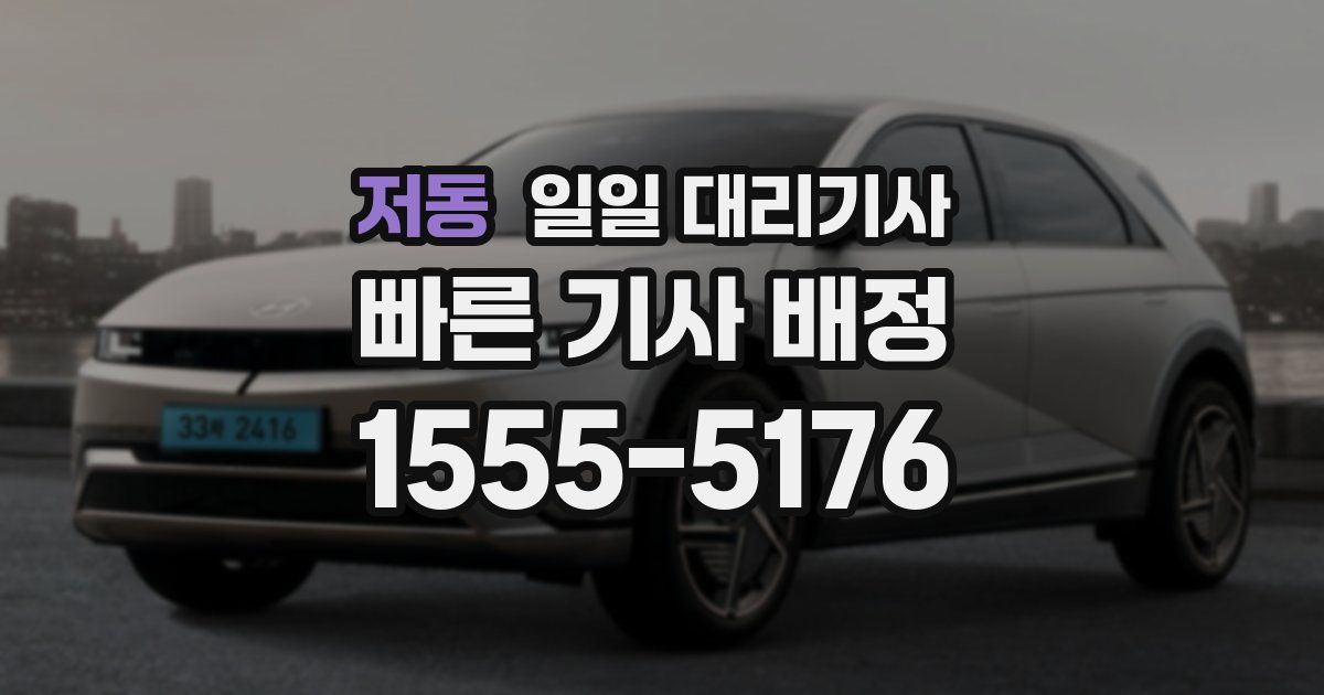저동 일일 대리기사