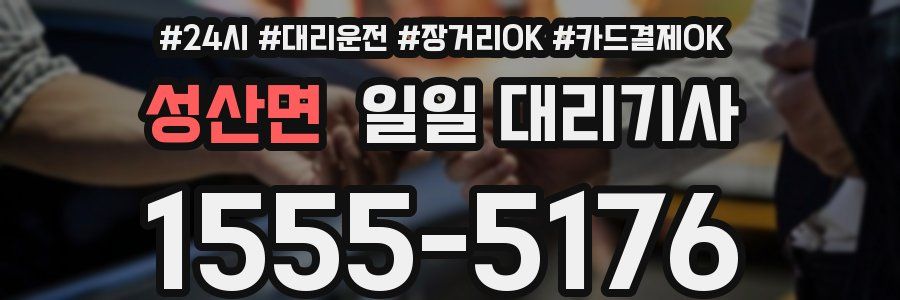 성산면 일일 대리기사