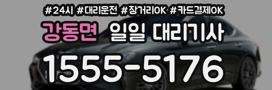 강동면 일일 대리기사